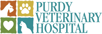 Link to Homepage of Purdy Veterinary Hospital